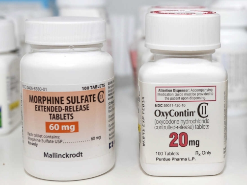 Morphine and oxycodone (the active ingredient in Oxycontin) are strong narcotic pain relievers on their own. Moxduo, a drug now up for FDA approval, would combine morphine and oxycodone in a single capsule.